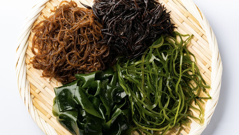 海藻，萬能的健康食材